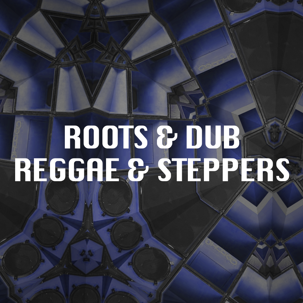 Roots Dub Reggae Steppers