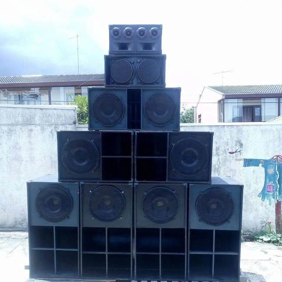 Echo Gralha Sistema de Som