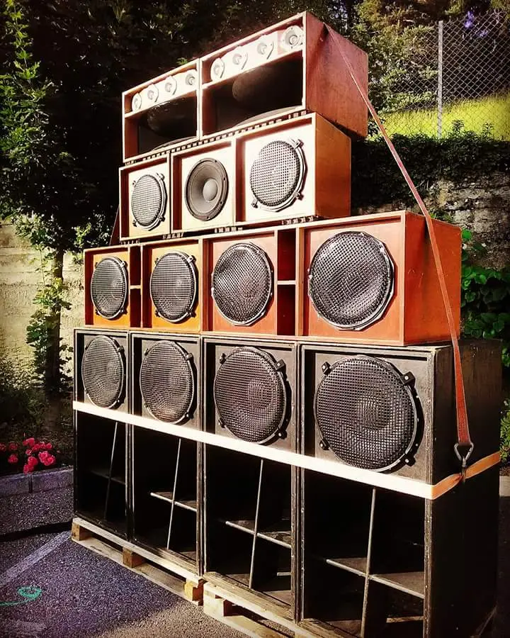 Natural Skanking Sound System