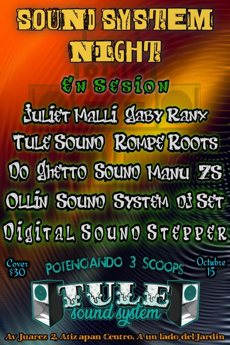 Sound System Night