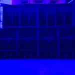 Tallulah Soundsystem