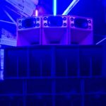 Tallulah Soundsystem
