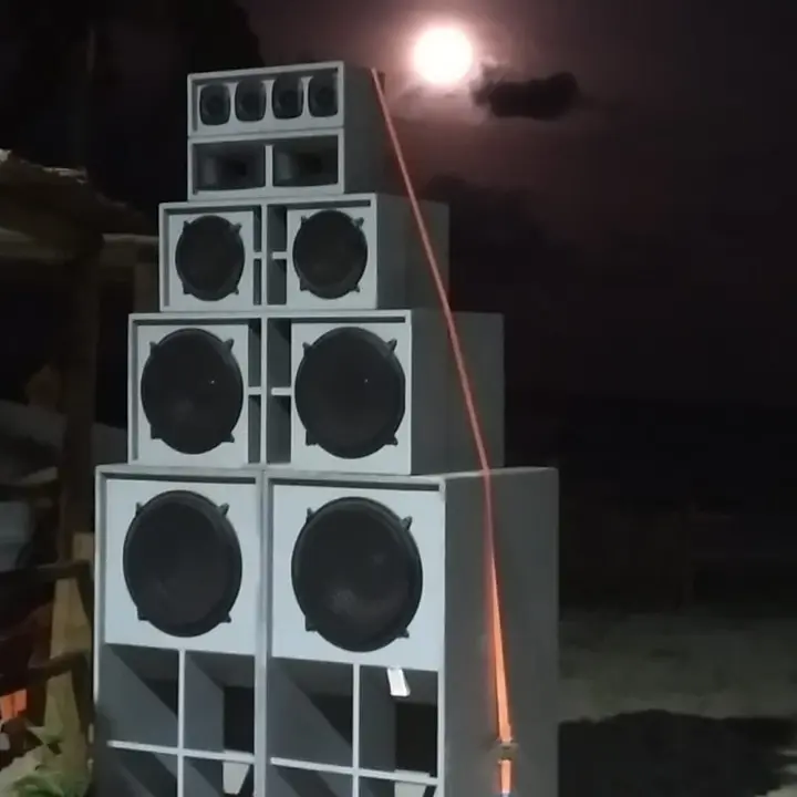 Lion’s Corporations Sound System