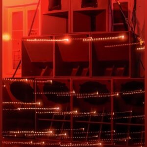 Red Echoes Sound System